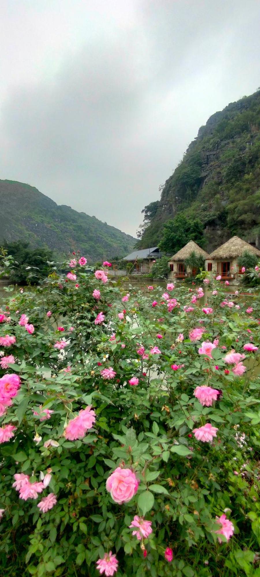 Hang Mua Eco Garden Xuan Son Exteriér fotografie