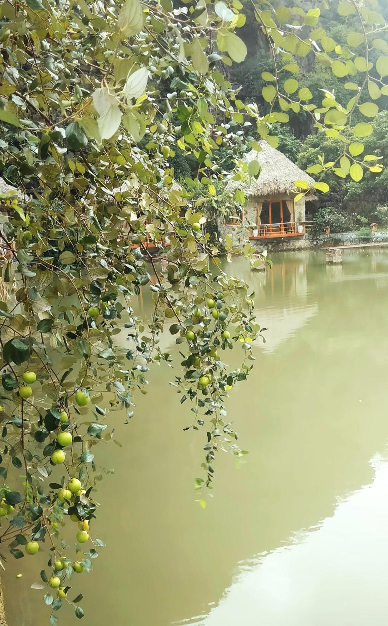 Hang Mua Eco Garden Xuan Son Exteriér fotografie